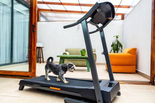 Cost of Treadmill Installation in Beaumont