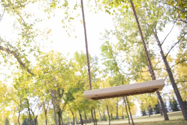 Cost of Tree Swing Installation in Beaumont