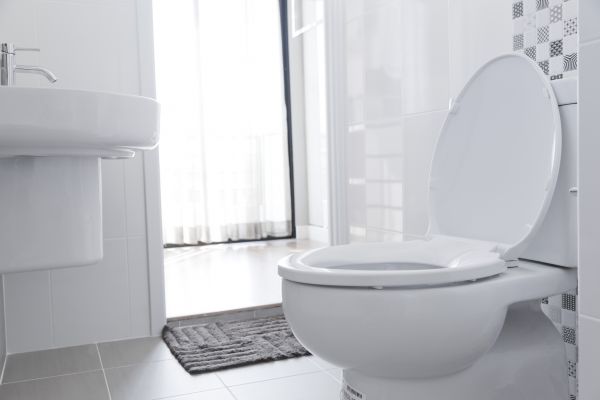 Cost of Toilet Seat Installation in Beaumont