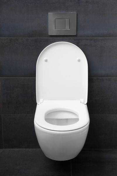 Toilet Lid Installation in Beaumont