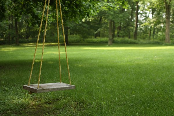 Rope Swing Installation in Beaumont