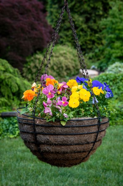 Hanging Basket Installation in Beaumont