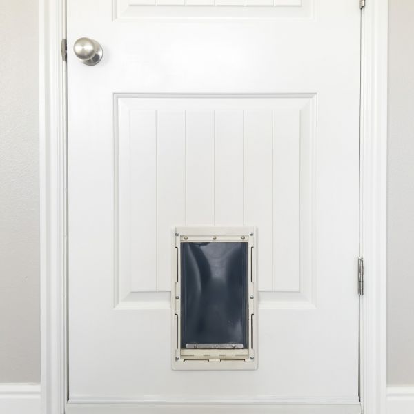 Pet Door Repair in Beaumont