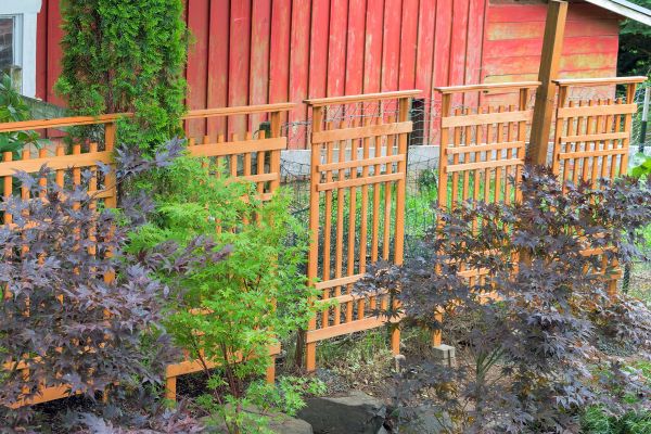 Wood Trellis Mounting in Beaumont