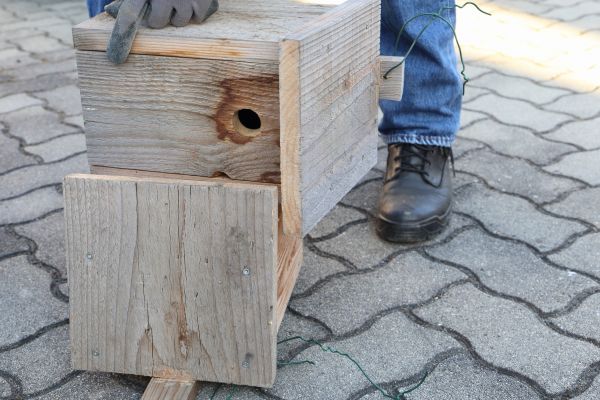 Birdhouse Mounting in Beaumont