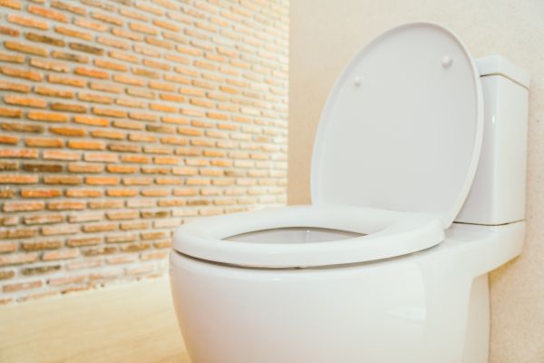 Toilet Seat Repair in Beaumont